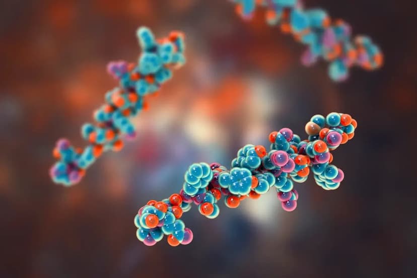 GLP-1 Research, Visceral Fat and Inflammation: Separate the Endpoints